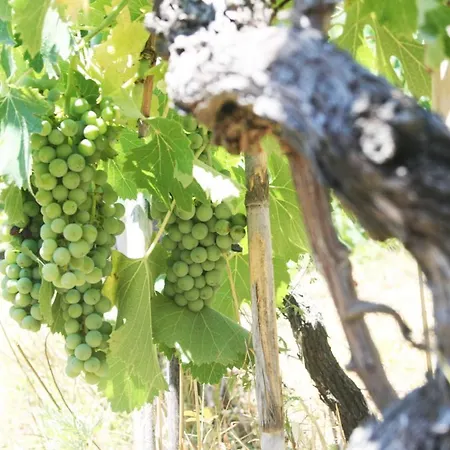 Séjour à la ferme Poderi Lenzi